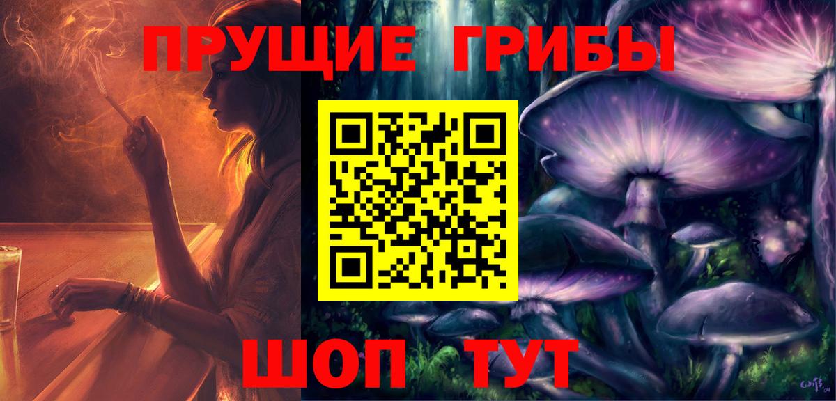 Сосновоборск  Галлюциногенные грибы Psilocybine cubensis  что такое наркотик  Вход с VPN  Псилоцибиновые грибы ЛСД 